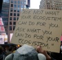 Calling All Activists: Occupy For Seed Freedom (Oct. 2-16) | Mickey Z.