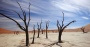 Earth 'Locked Into' Hitting Temperatures Not Seen in 2 Million Years: Study | Nika Knight