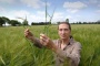 Crops evolved 10 millennia earlier than thought | Robin Allaby