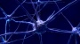 Potential link between brain trauma and degenerative brain disease revealed | Elisa Zanier