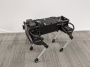 A System To Reproduce Different Animal Locomotion Skills In Robots | Ingrid Fadelli