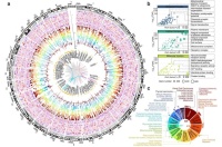 Genome-Based Imaging For Medical Diagnostics -- Lukas Portmann, Universität Luzern