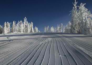 corduroy1