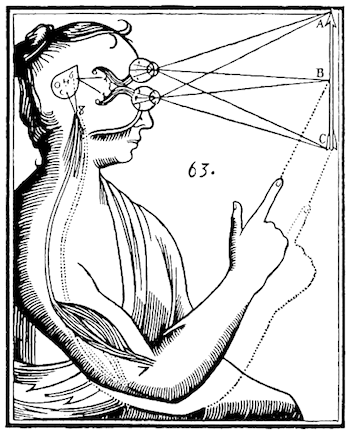René Descartes' illustration of mind/body dualism. Descartes believed inputs are passed on by the sensory organs to the epiphysis in the brain and from there to the immaterial spirit.[2]