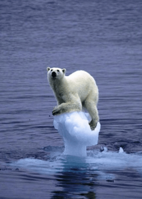 Global Warming My Arse