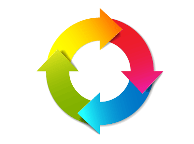 lifecycle