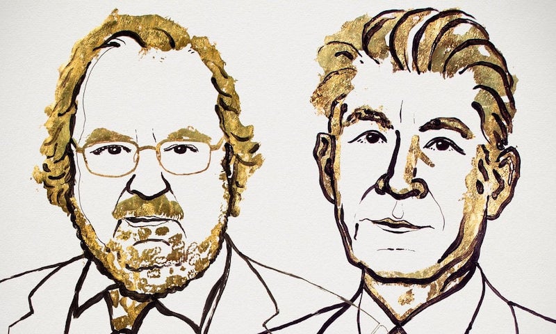 An illustration of James P. Allison and Tasuku Honjo provided by the Nobel Assembly. Photograph: Nobel Assembly