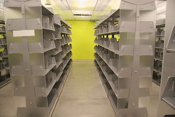 The public library of the future?