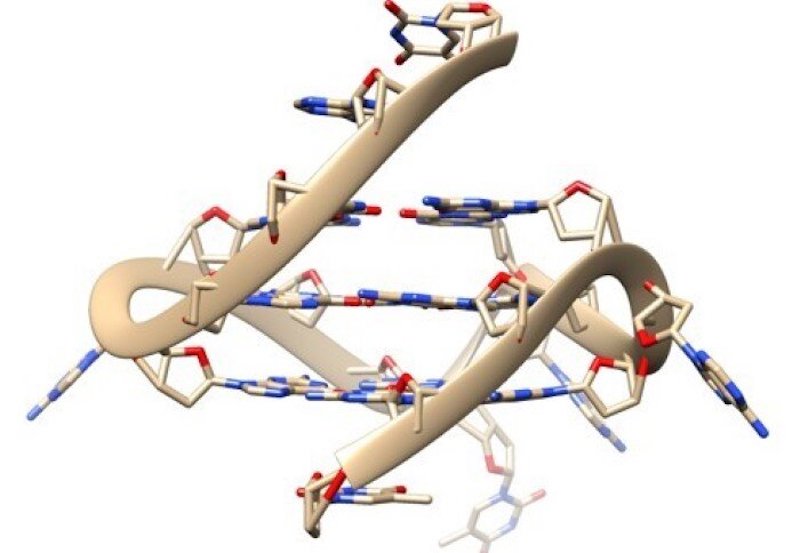 Quadruple-helix DNA. Credit: Imperial College London