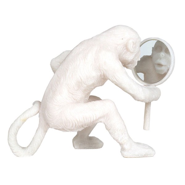 vain monkey